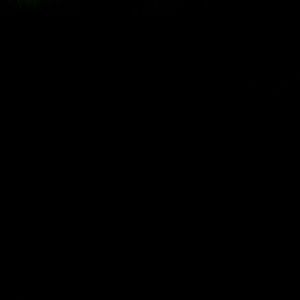 Meet your Posher, Wayne